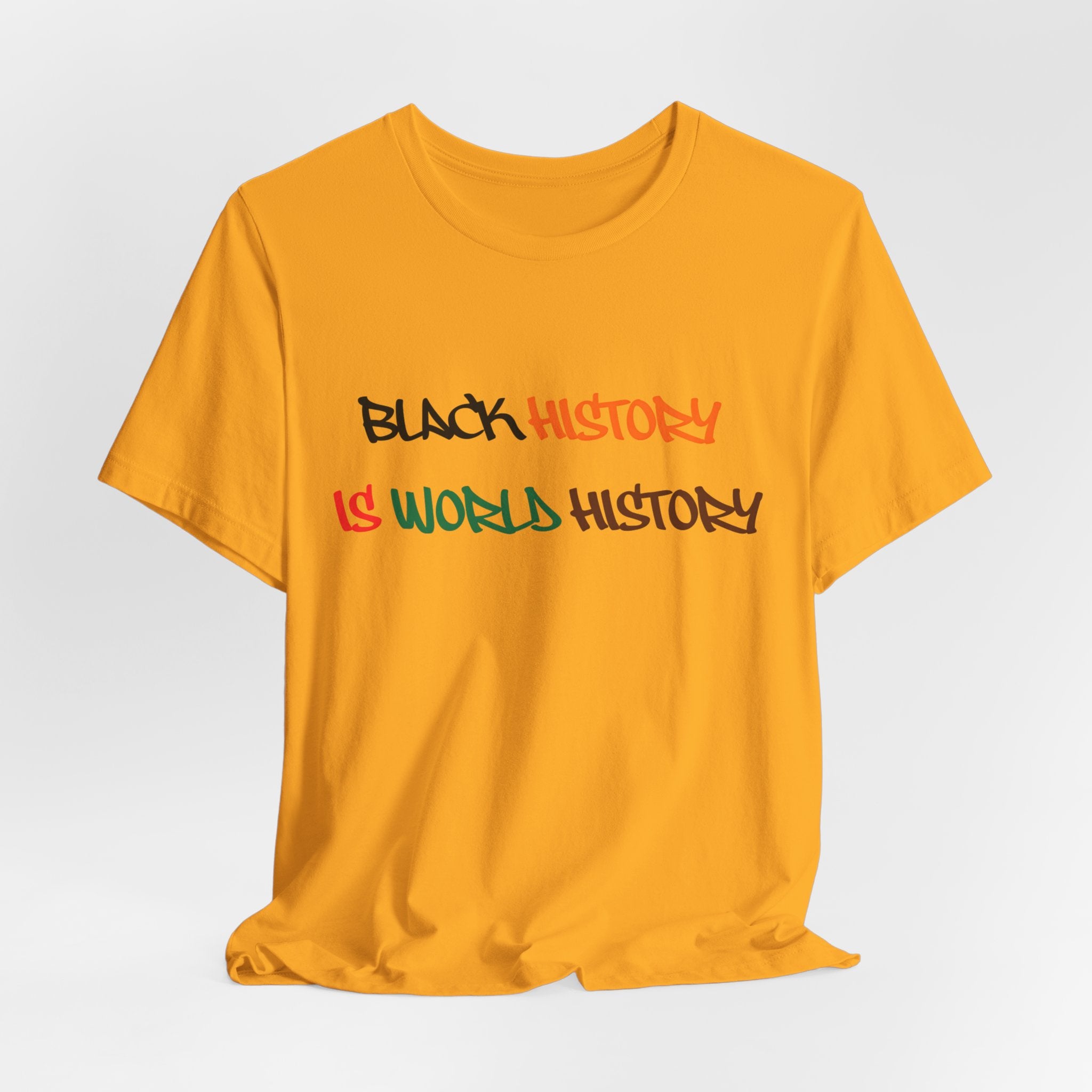 Black History Is World History T-Shirt